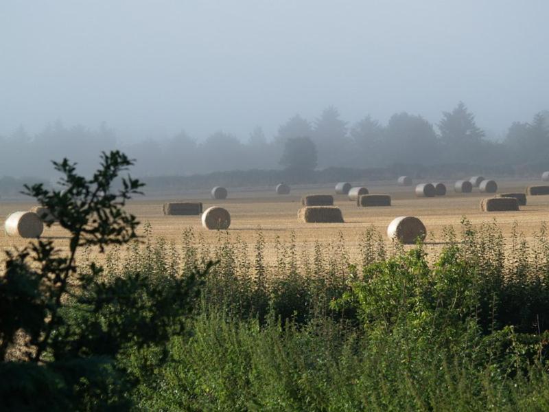 Villa High Park Farm York Esterno foto